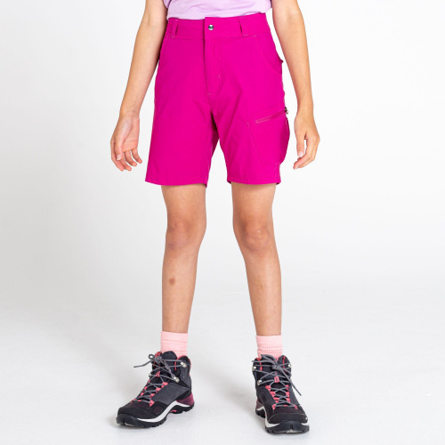 Clothing - Dare 2b Reprise II Lightweight Shorts | Outdoor 